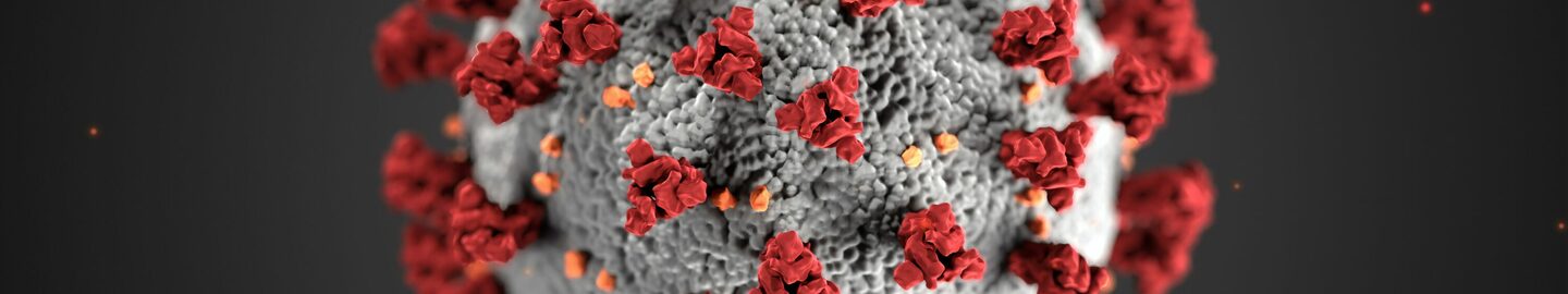 cdc-w9KEokhajKw-unsplash (1)